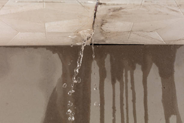 Professional Burst Pipe Cleanup technician working in Lissie, TX